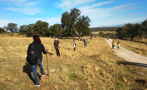 Más de un centenar de personas vuelven a buscar a Rosalía Cáceres en el entorno de Bohonal de Ibor