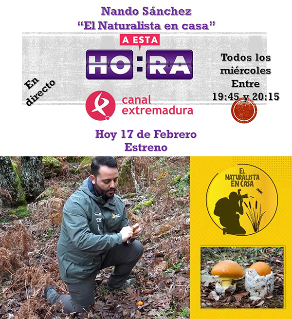 «El Naturalista en casa» se estrena hoy en Canal Extremadura.