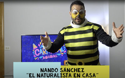Carnaval Animal en «El Naturalista en casa» por Nando Sánchez.