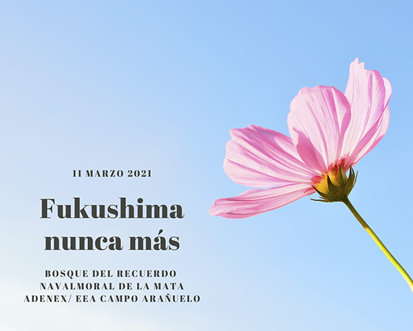 ¿Qué hemos aprendido de Fukushima en Almaraz?