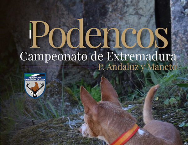 Navalmoral acoge el 9 de mayo el Campeonato de Extremadura de Trabajo para Podenco Andaluz y Maneto