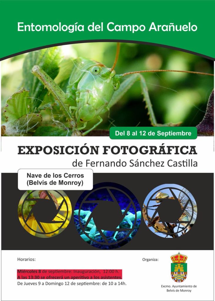 cartel exposición entomología