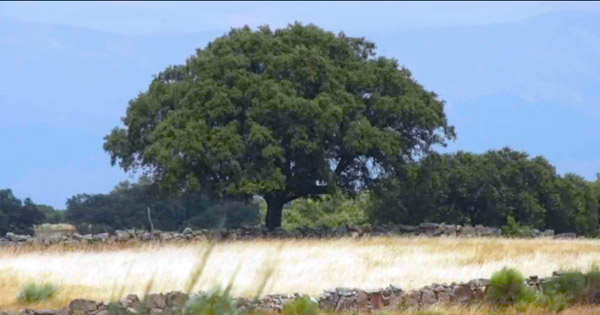 ARJABOR presenta un proyecto para convertir a la comarca del Campo Arañuelo en destino turístico