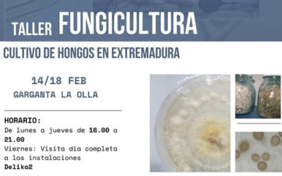 El Centro de Formación del Medio Rural imparte un taller sobre cultivo de hongos del 14 al 18 de febrero