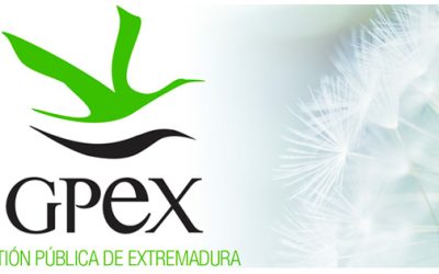 La Sociedad de Gestión Pública de Extremadura oferta cuatro plazas de empleo para diferentes perfiles