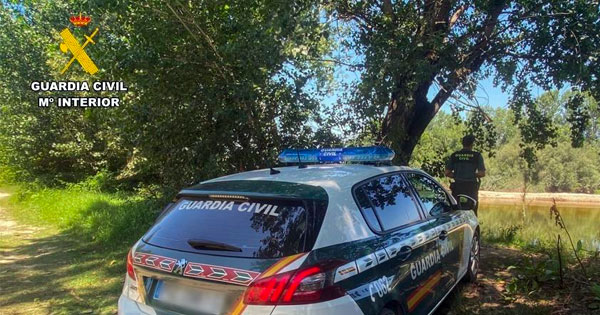 Detenido por maltrato animal tras hallar a su perro muerto en el interior de un vehículo, supuestamente, por el calor