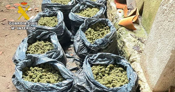 La Guardia Civil investiga a dos hombres y aprehende más de 50 kilos de marihuana en Villanueva de la Vera