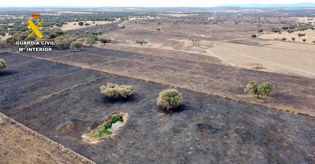 La Guardia Civil investiga a un hombre por un supuesto delito de incendio forestal por imprudencia en Aldea del Obispo (Cáceres)