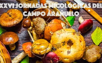 Las XXVI Jornadas Micológicas del Campo Arañuelo reúnen a expertos y aficionados en torno a la micología