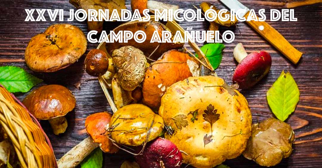 Las XXVI Jornadas Micológicas del Campo Arañuelo reúnen a expertos y aficionados en torno a la micología