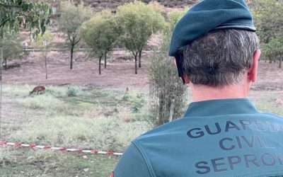 La Guardia Civil investiga a tres personas en Valencia de Alcántara por supuestos delitos de caza y tenencia ilícita de armas