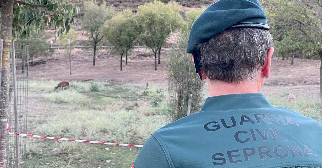 La Guardia Civil investiga a tres personas en Valencia de Alcántara por supuestos delitos de caza y tenencia ilícita de armas