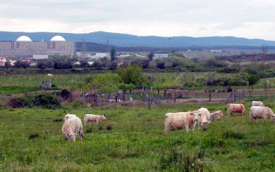 Almaraz, la central nuclear extremeña que es una referencia mundial 