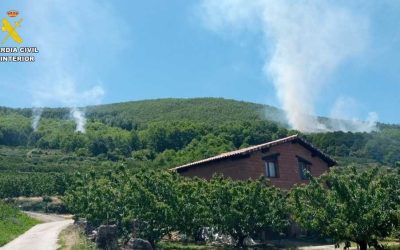 La Guardia Civil detiene a un hombre por provocar siete incendios forestales en Casas del Castañar