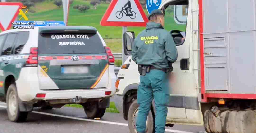 Siete detenidos y 37 investigados por falsedad documental en centros de limpieza de vehículos de transporte animal