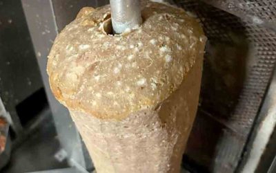 La Policía Local propone el cese de actividad de un establecimiento de comida rápida en Navalmoral de la Mata