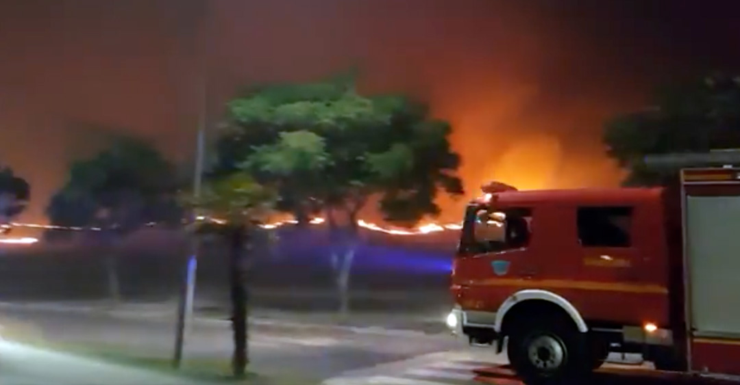 El Ayuntamiento recuerda la obligación de limpiar parcelas y franjas de seguridad para prevenir incendios en Navalmoral